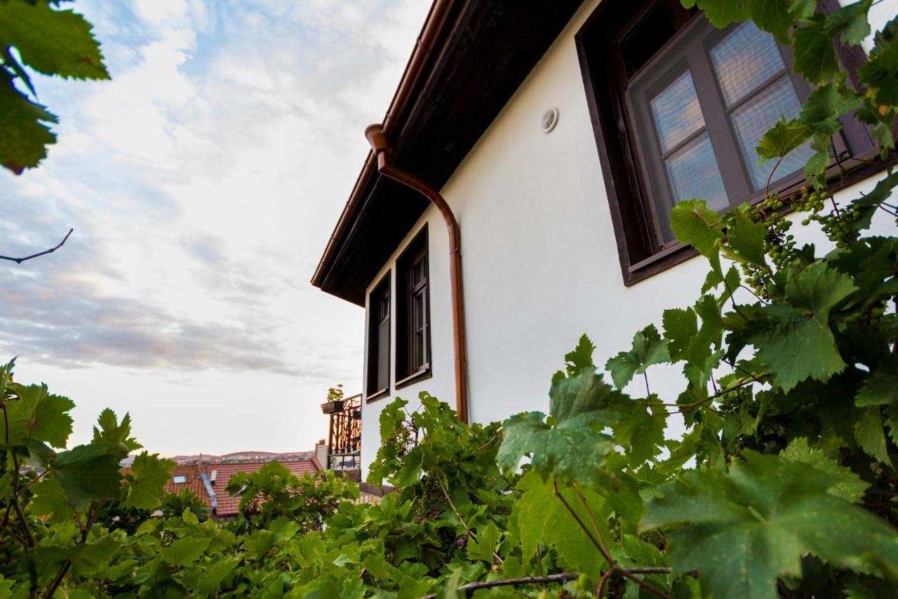 Apartment Zdravets Veliko Tŭrnovo Eksteriør bilde